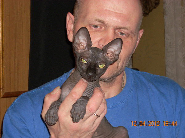 Александр Викторов