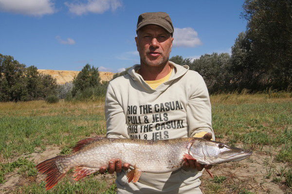 Владимир Калицкий