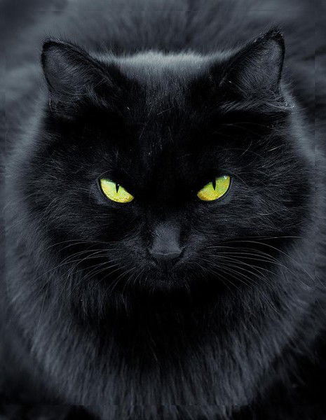 Сергей Бобок