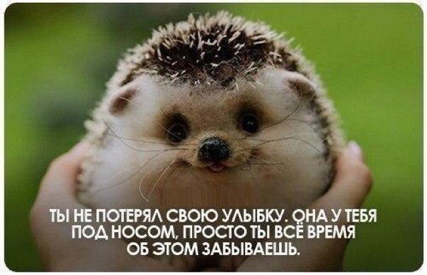 Екатерина Васильева