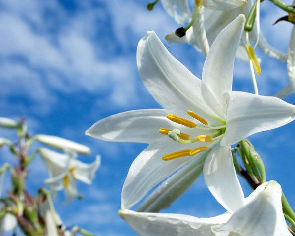 Куюргазинский Роо