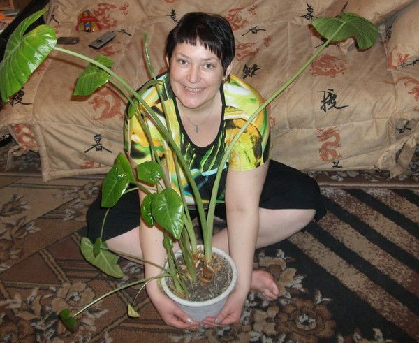 Елена Савинкина