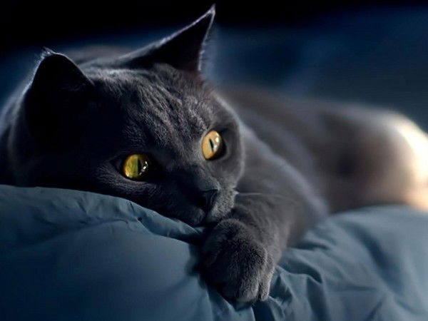 Нина Полина