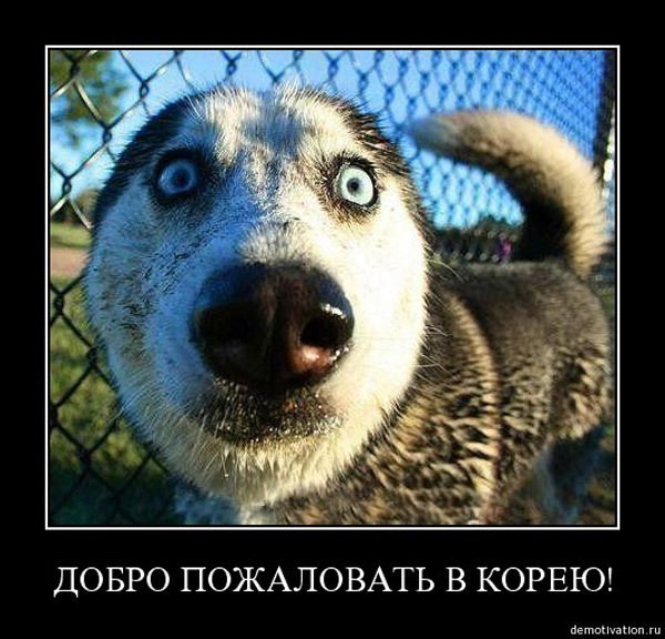 Екатерина Тимошенко