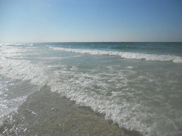 Светлана Ю.