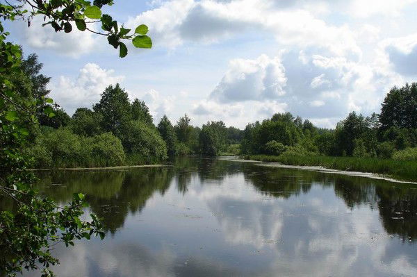 Ирина Маслова