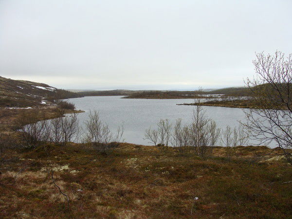 Василий Первухин