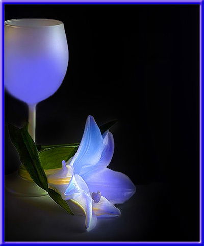 Наталья Мехович