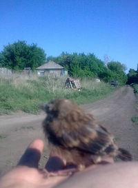 Серафим Лосев