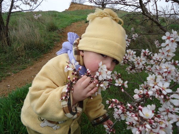 Андрей Калашонок
