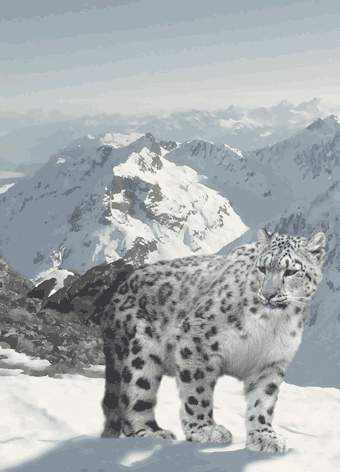 Madina Дзугкоева