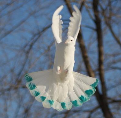 София Коновалова