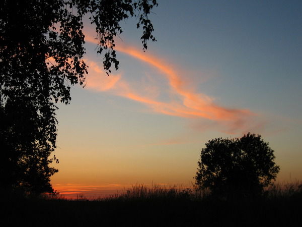 Надежда Иосивова