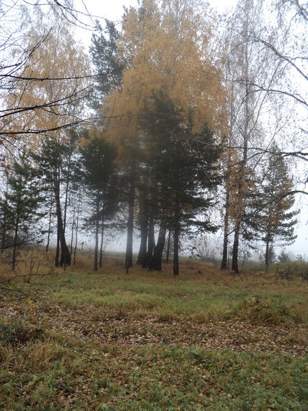 Марина Брачева