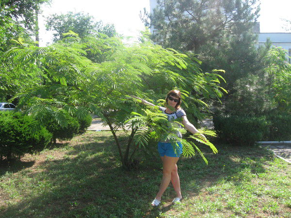 Света Корженевская