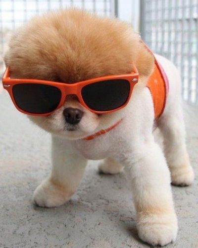 Даниил Миронов