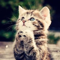 Мария Прощенкова