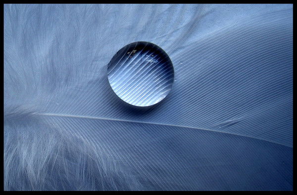 Никита Киселев