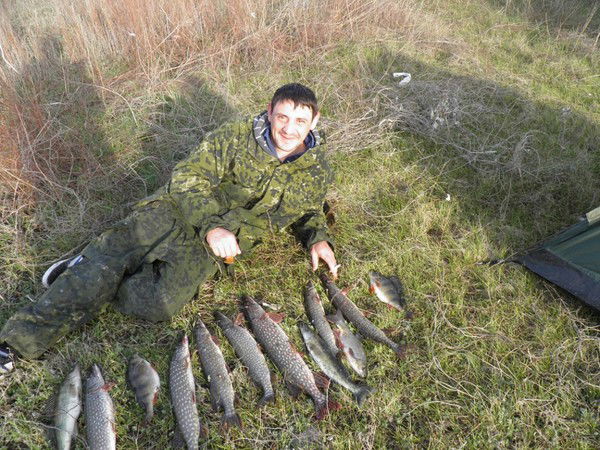 Василий Колесников