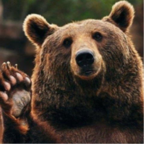 Юрий Анатольевич