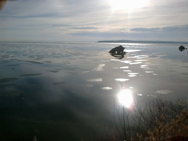 Олег Шафировский