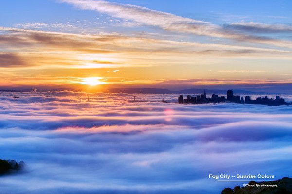 Анастасия Белякова