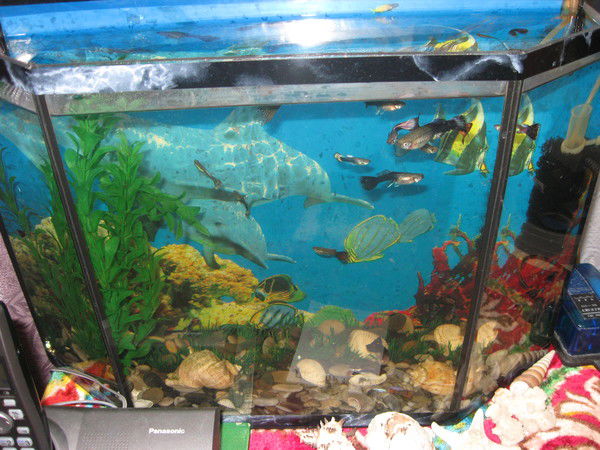 Сергей Супруненко