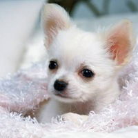 Марина Царёва