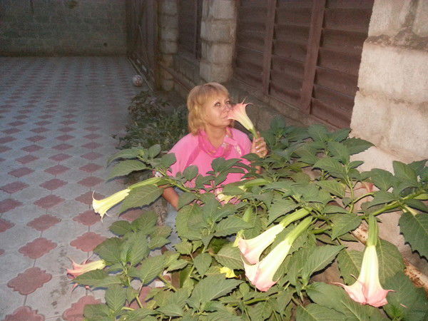 Ефимова Галина