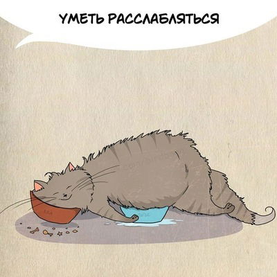 Александр Кочетов