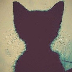 Демьяна Пушкина