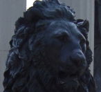 Дмитрий Туртин