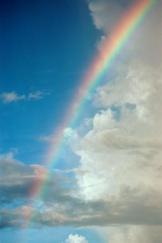 Регина Кариева