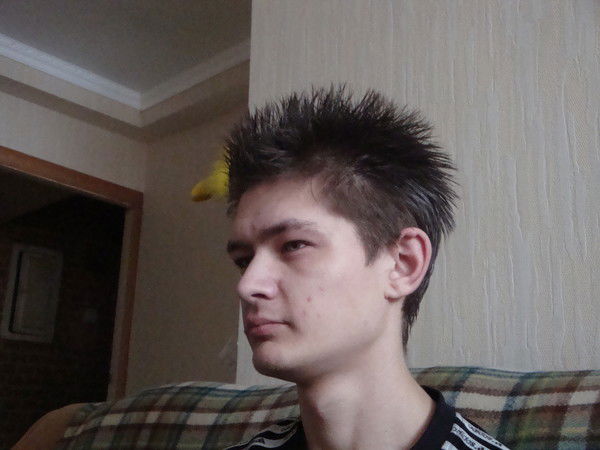 Дмитрий Кривин