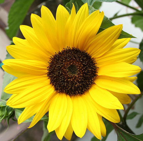 Татьяна Литвинова