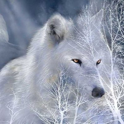 Елена Назарова