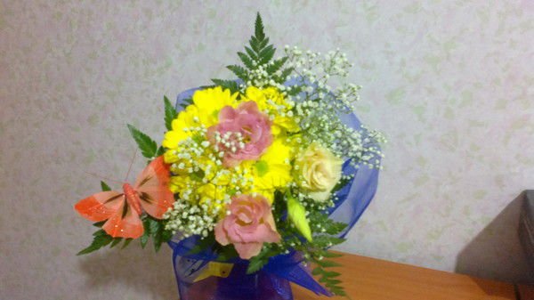 Елена Кочеткова