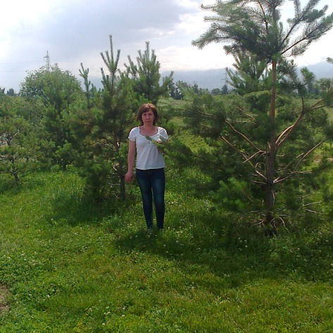 Наталья Шиляева