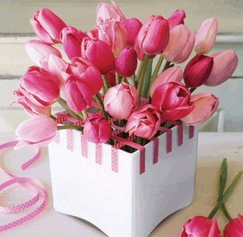 Оля Капланец