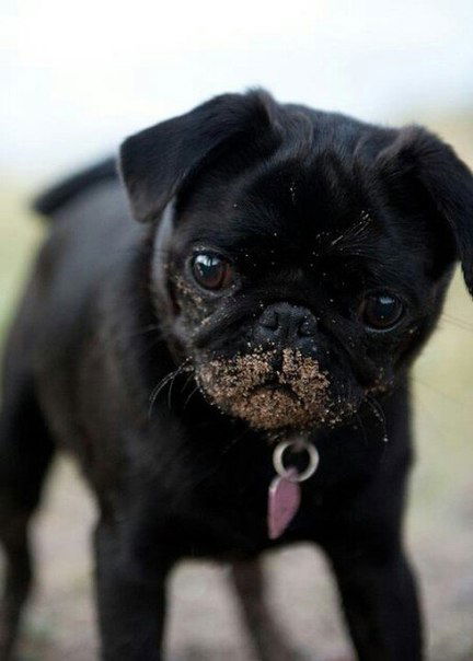 . Кристина .