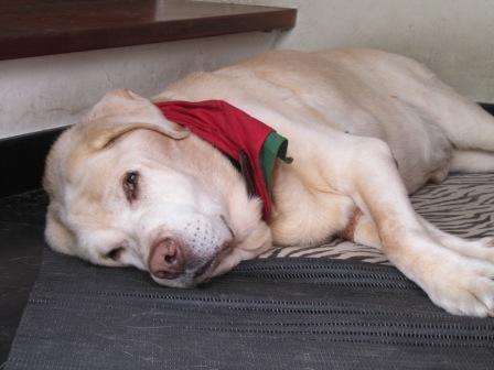 Маргарита Макарова