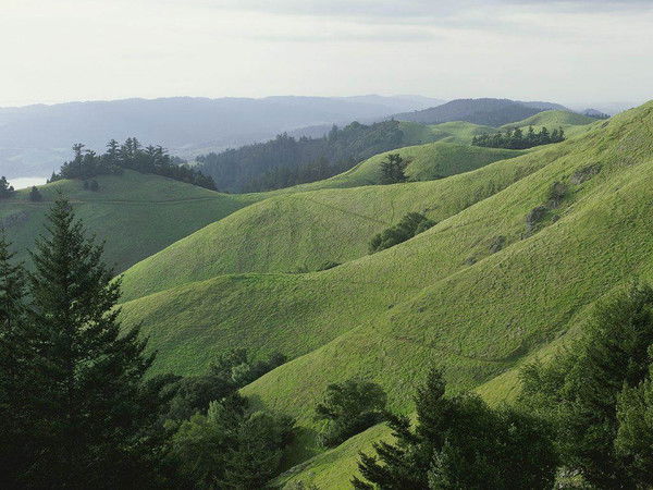 Асия Кошжанова