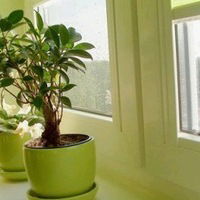 Саша Барель