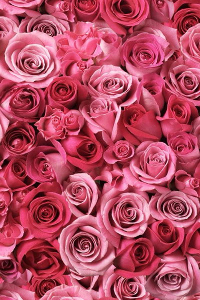 Виктория Хилтон