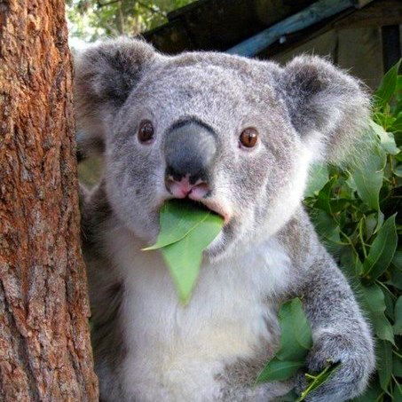 Сергей Поляков