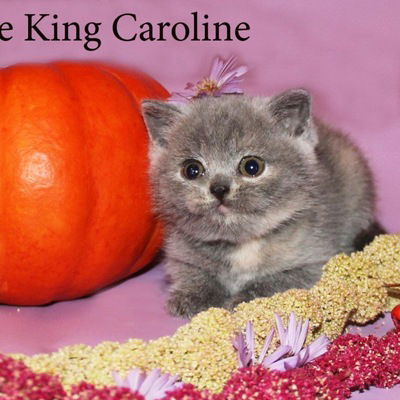 Людмила Громовая