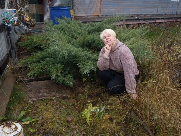 Анна Перцева