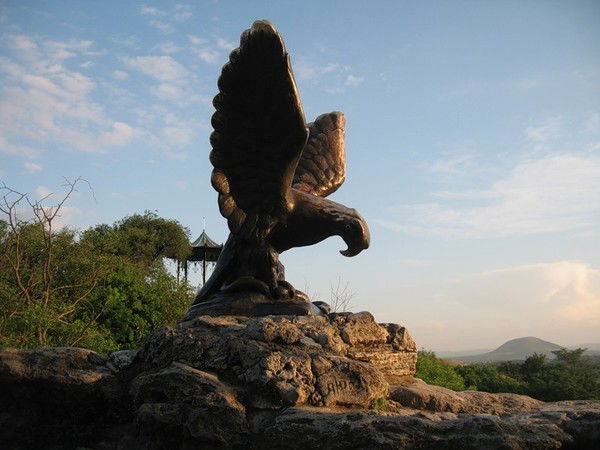 Ольга Васильева