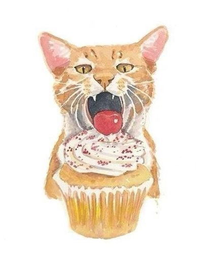 Полина Пыжик