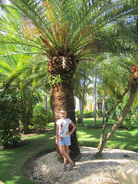 Наташа Крицкая